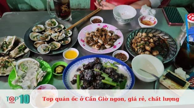 Top 8 quán ốc ở Cần Giờ ngon, giá rẻ, chất lượng