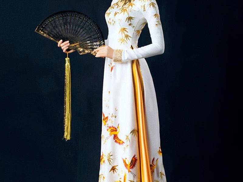 Áo Dài Việt Nam